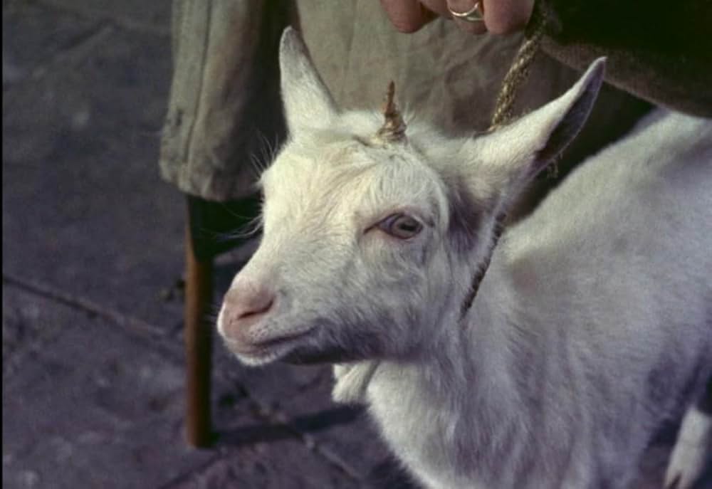 文なし横丁の人々の画像