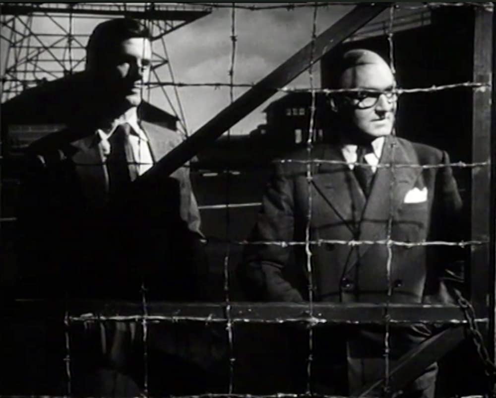 熱情のしぶきの画像