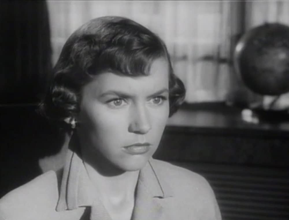 熱情のしぶきの画像