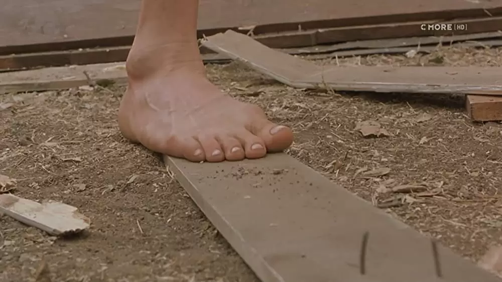 砂と霧の家の画像