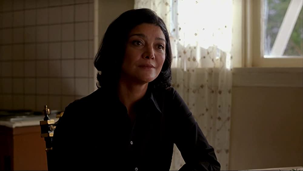 砂と霧の家の画像