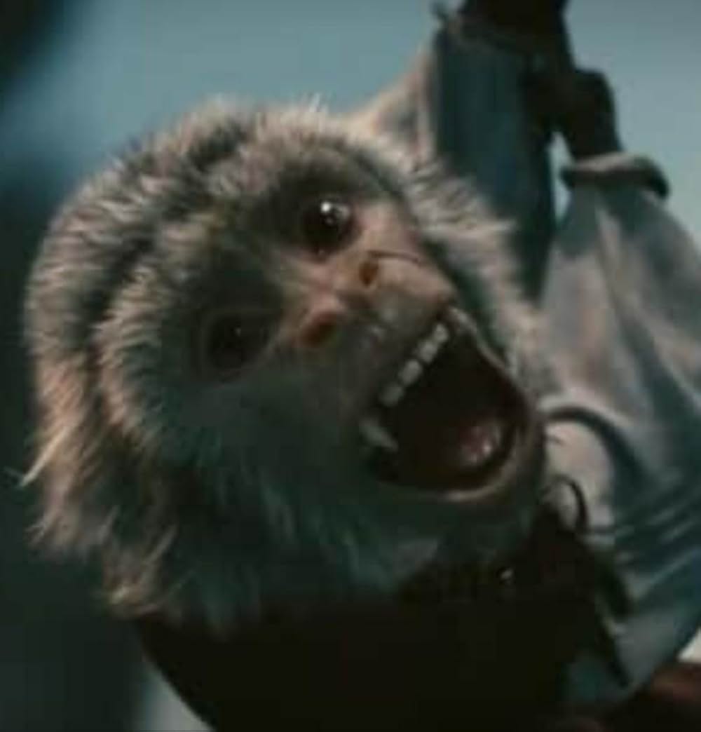 パイレーツ・オブ・カリビアン／呪われた海賊たちの画像