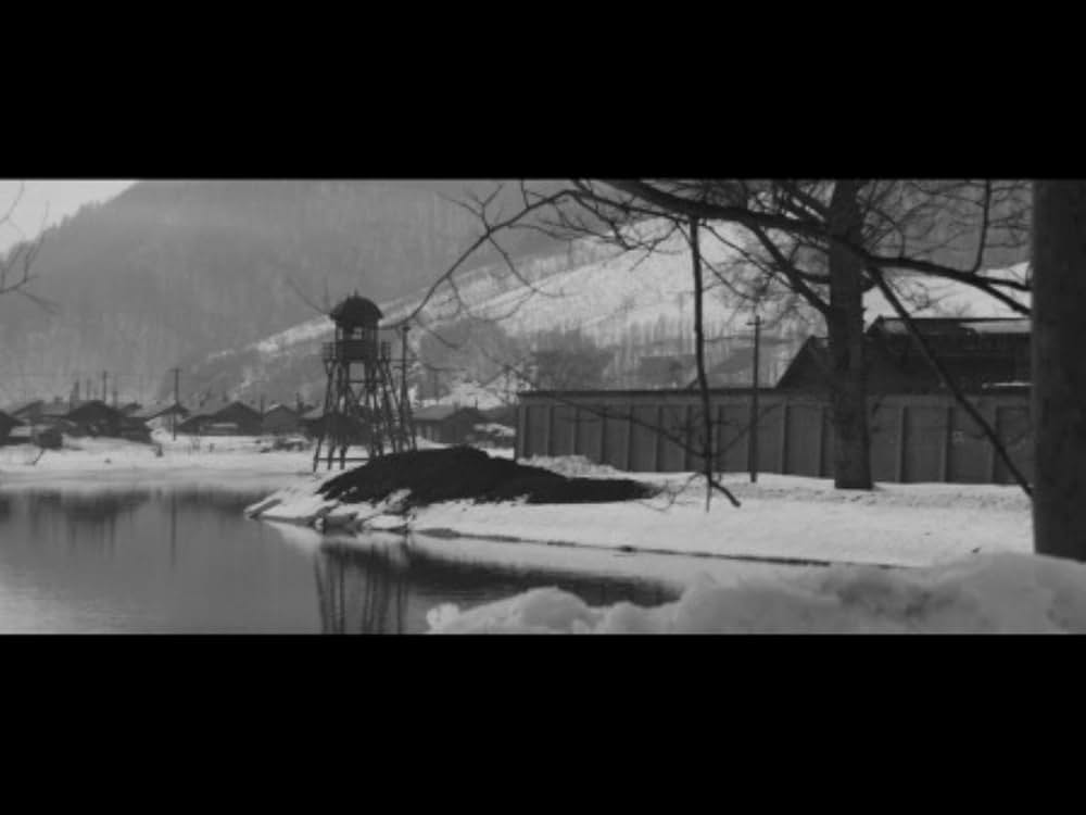 網走番外地の画像