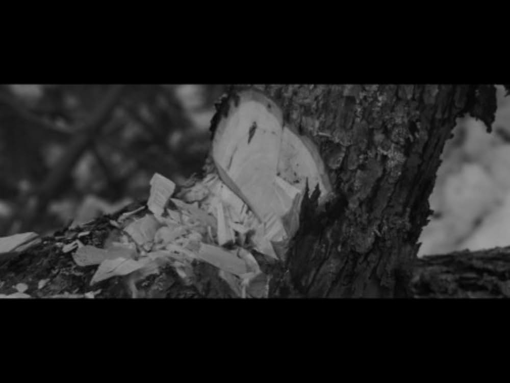 網走番外地の画像