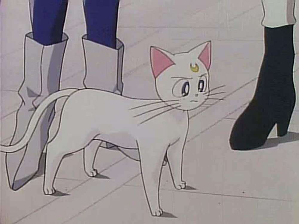 美少女戦士セーラームーンSuperS セーラー9戦士集結！ ブラック・ドリーム・ホールの奇跡の画像