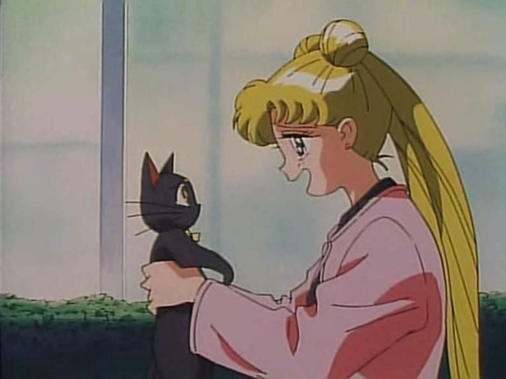 美少女戦士セーラームーンSuperS セーラー9戦士集結！ ブラック・ドリーム・ホールの奇跡の画像