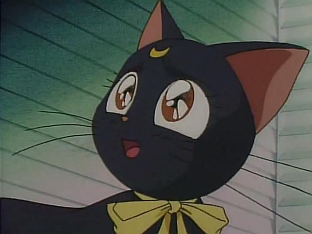 美少女戦士セーラームーンSuperS セーラー9戦士集結！ ブラック・ドリーム・ホールの奇跡の画像