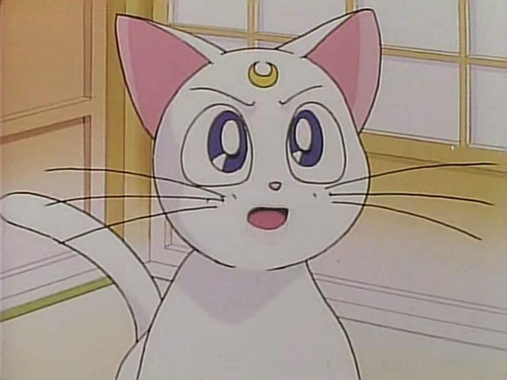 美少女戦士セーラームーンSuperS セーラー9戦士集結！ ブラック・ドリーム・ホールの奇跡の画像