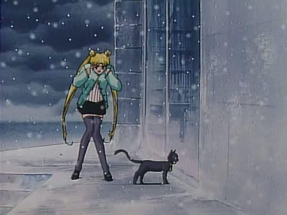 美少女戦士セーラームーンSuperS セーラー9戦士集結！ ブラック・ドリーム・ホールの奇跡の画像