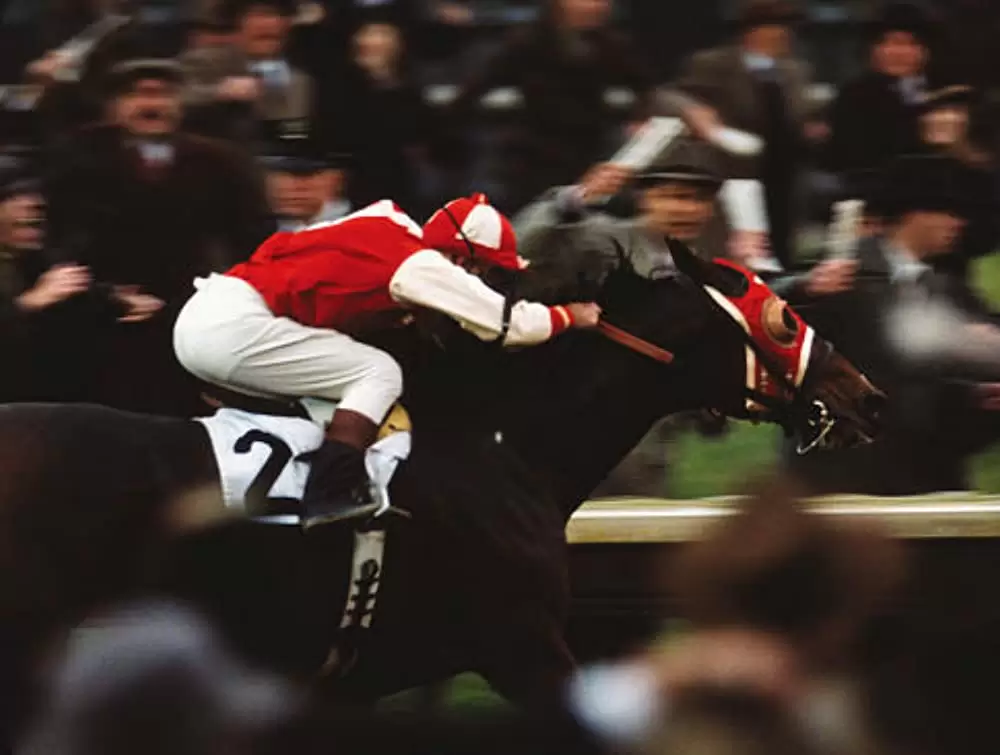 シービスケットの画像