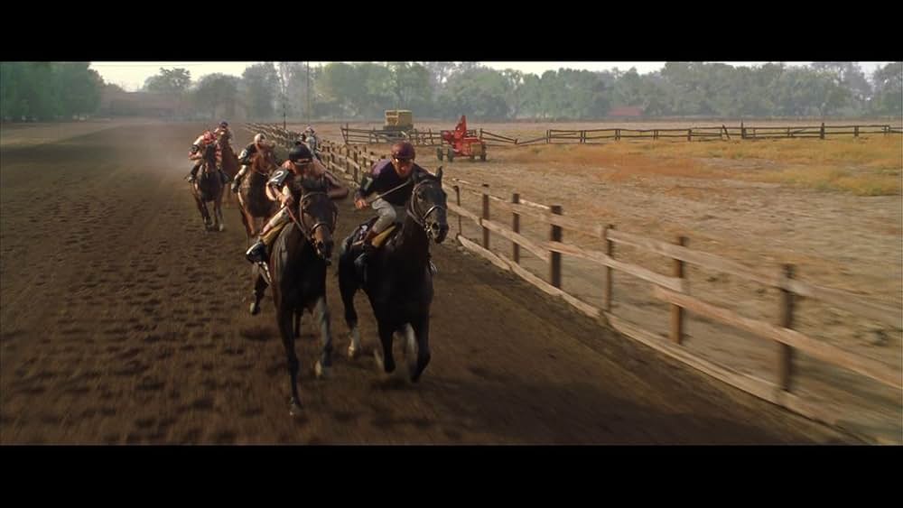 シービスケットの画像