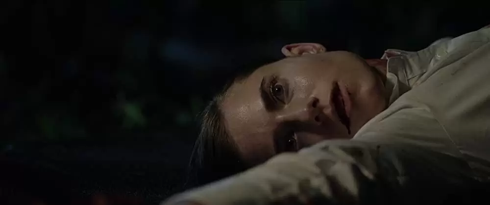 ゲット・アウトの画像