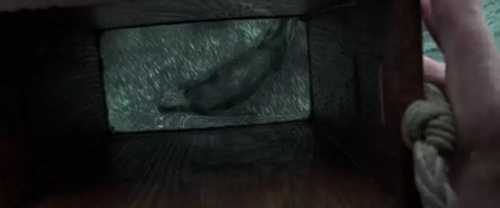 マスター・アンド・コマンダーの画像