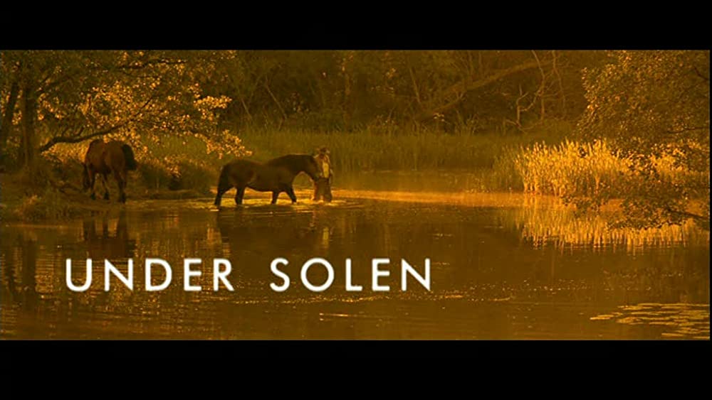 太陽の誘いの画像