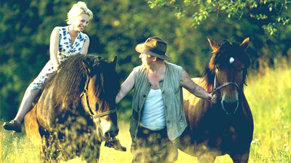 太陽の誘いの画像