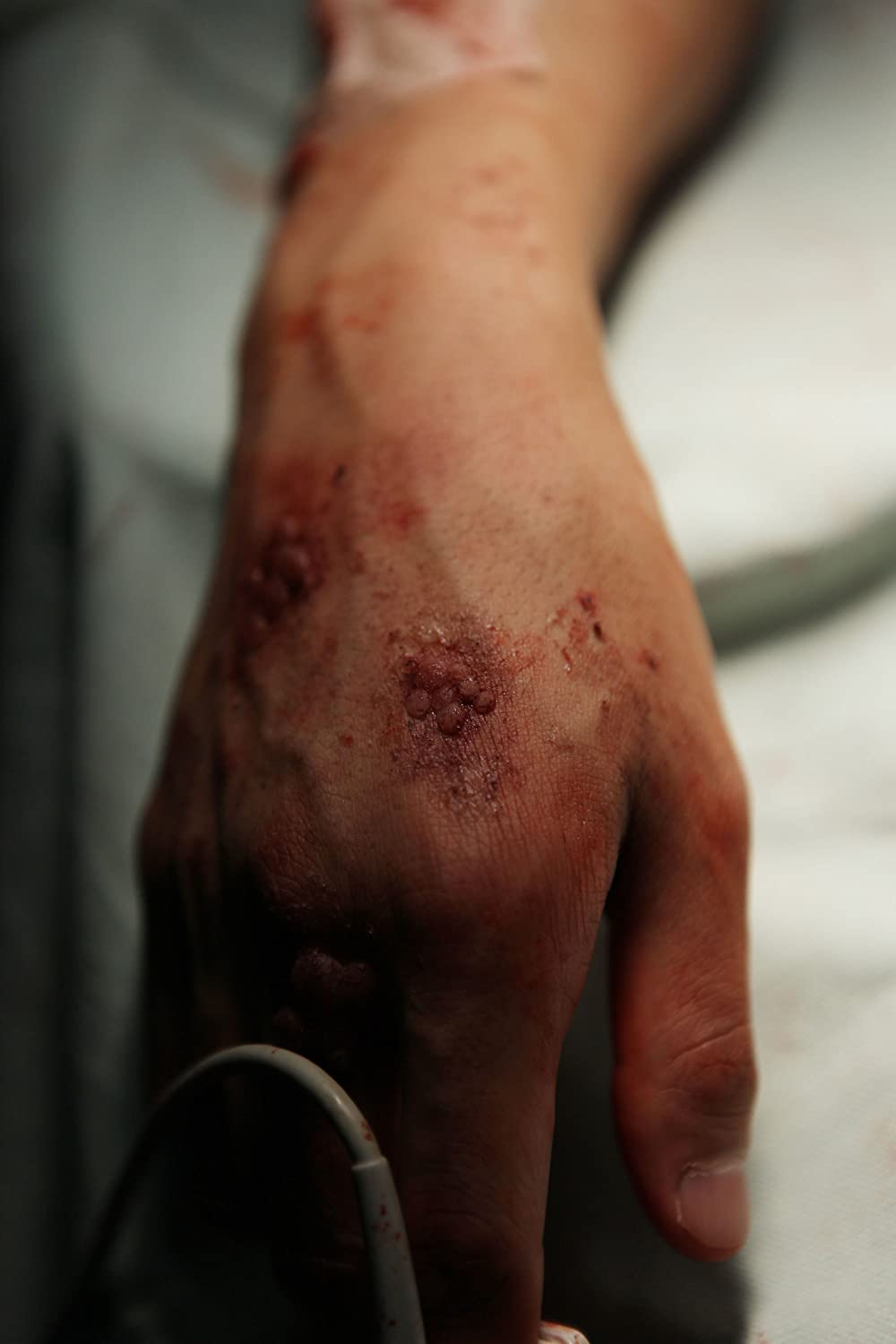 FLU 運命の36時間の画像