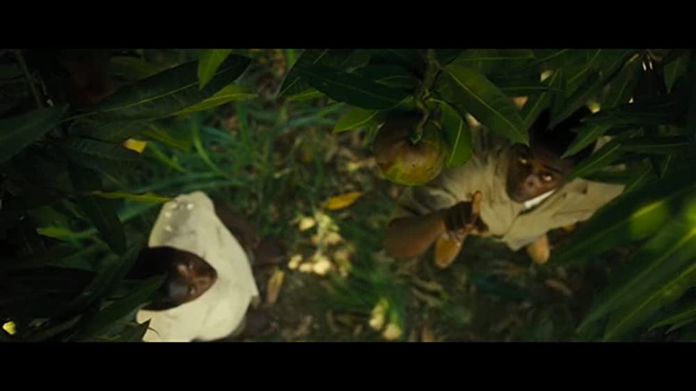 ペレ 伝説の誕生の画像