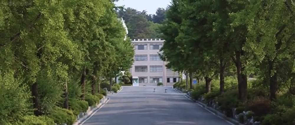 君に泳げ！の画像