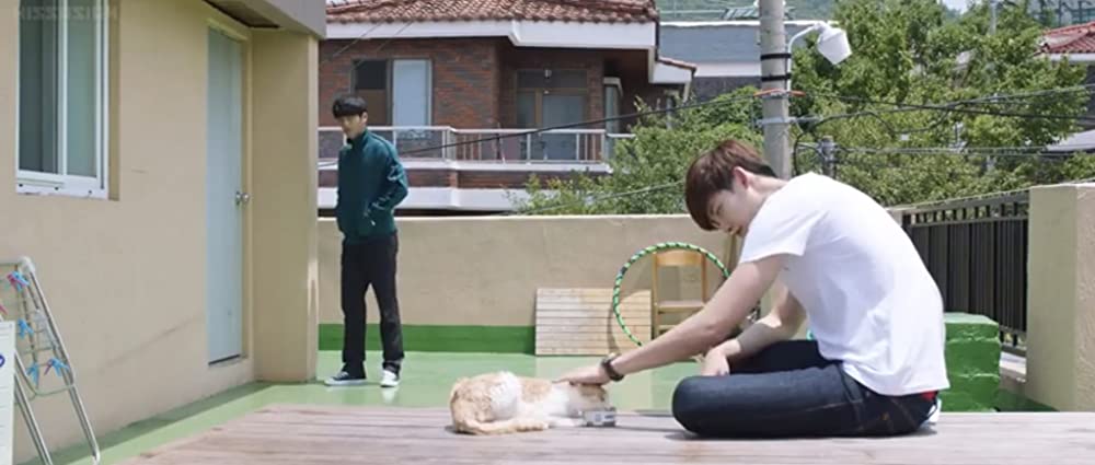 君に泳げ！の画像