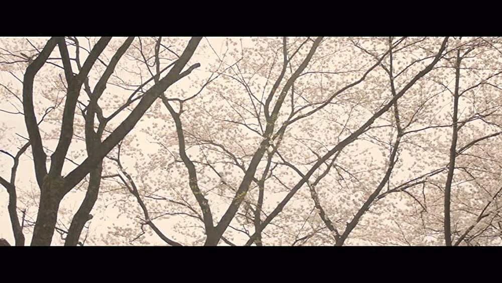 あんの画像