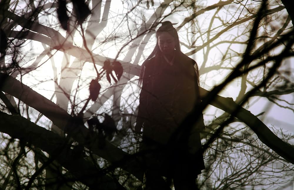 黒衣の刺客の画像