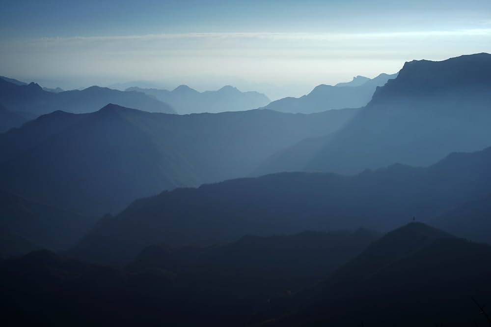 黒衣の刺客の画像