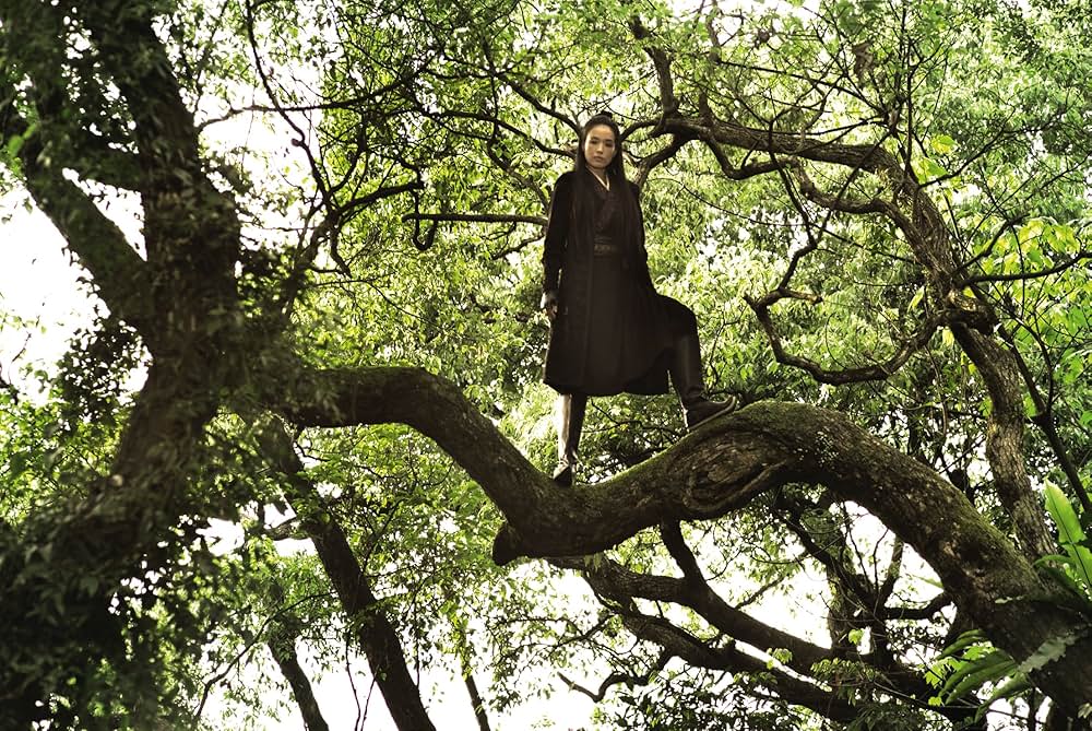 黒衣の刺客の画像