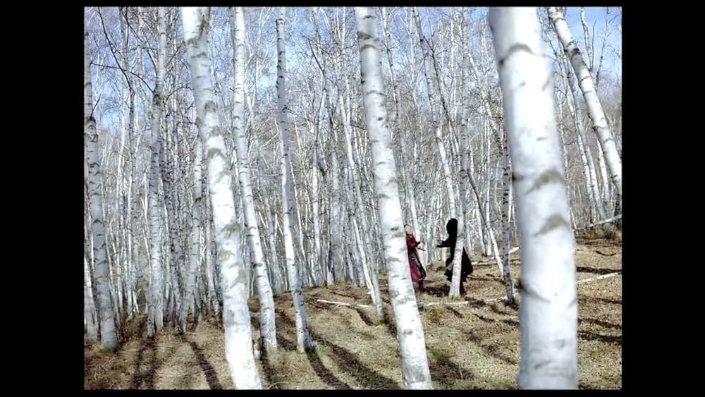 黒衣の刺客の画像