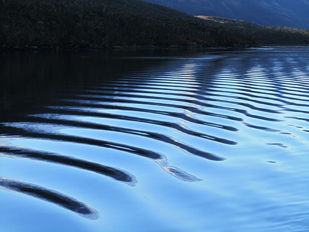 真珠のボタンの画像