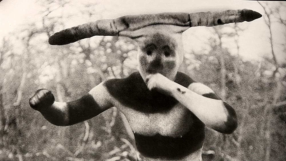 真珠のボタンの画像