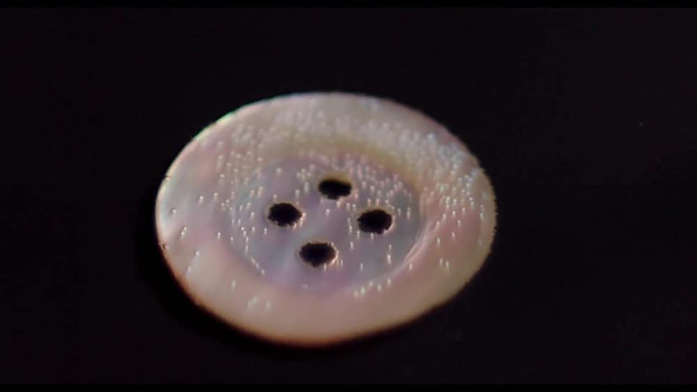 真珠のボタンの画像