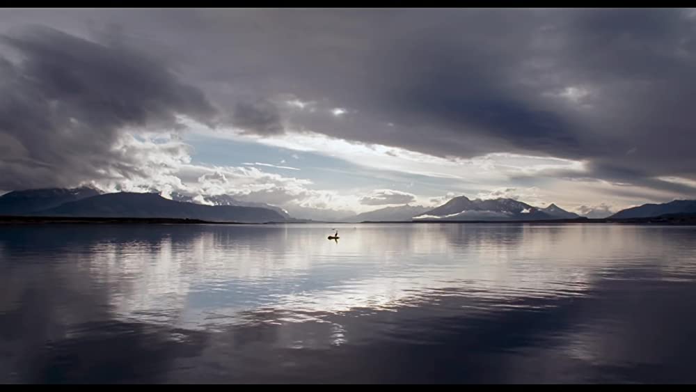 真珠のボタンの画像