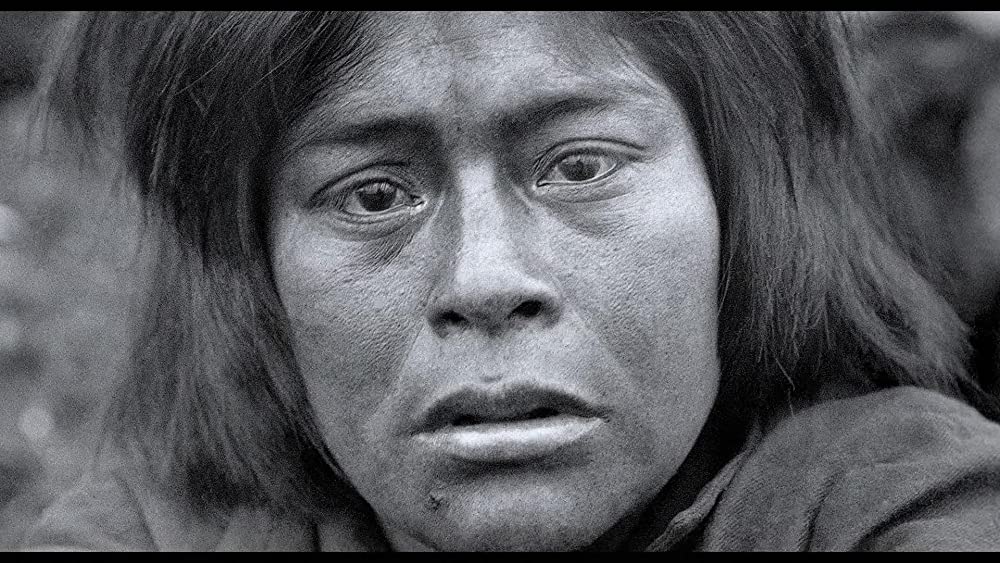 真珠のボタンの画像