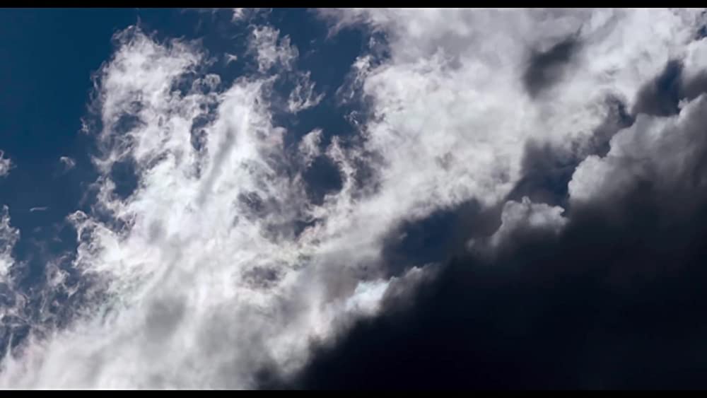 真珠のボタンの画像