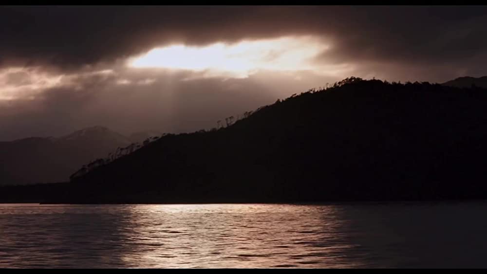 真珠のボタンの画像