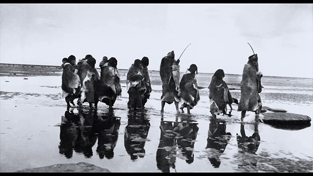 真珠のボタンの画像