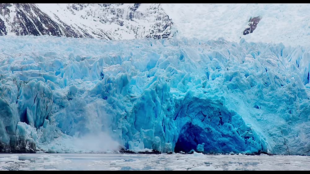 真珠のボタンの画像