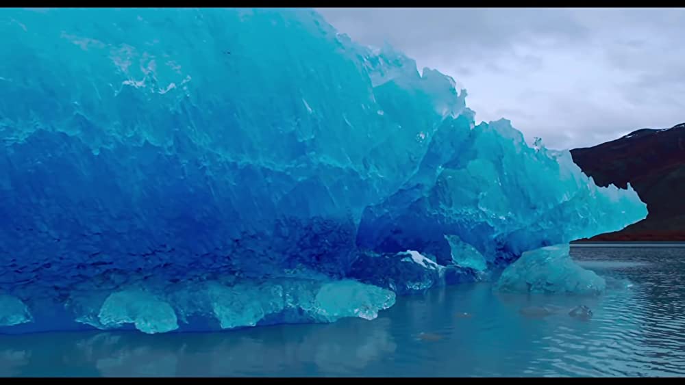 真珠のボタンの画像