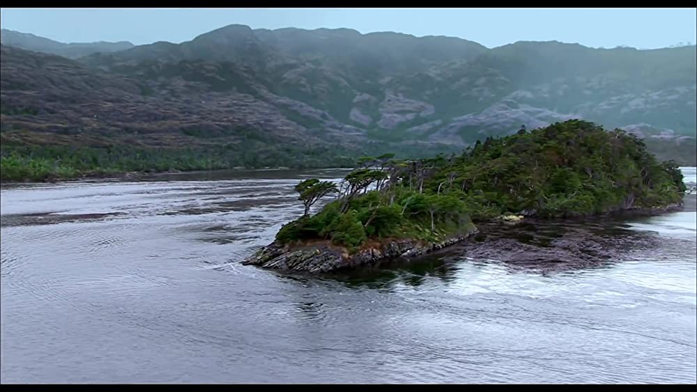 真珠のボタンの画像