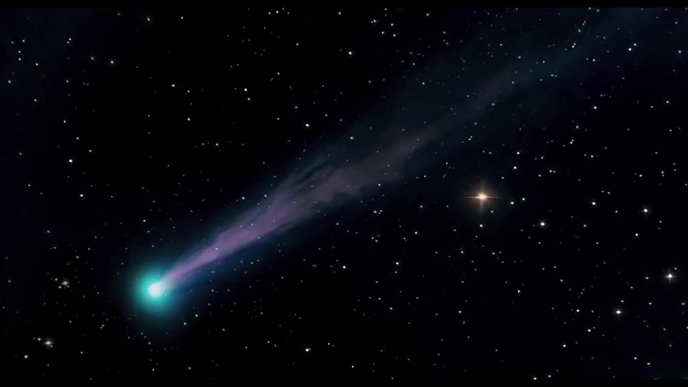 真珠のボタンの画像