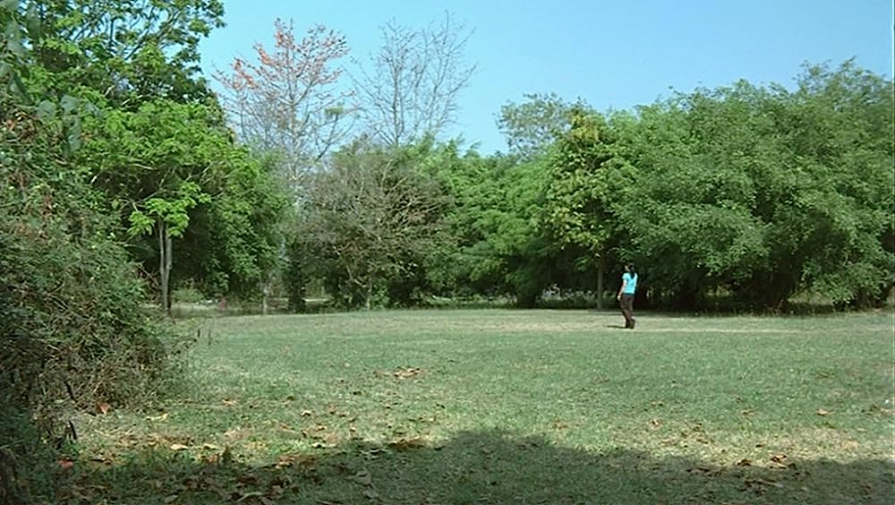 世紀の光の画像