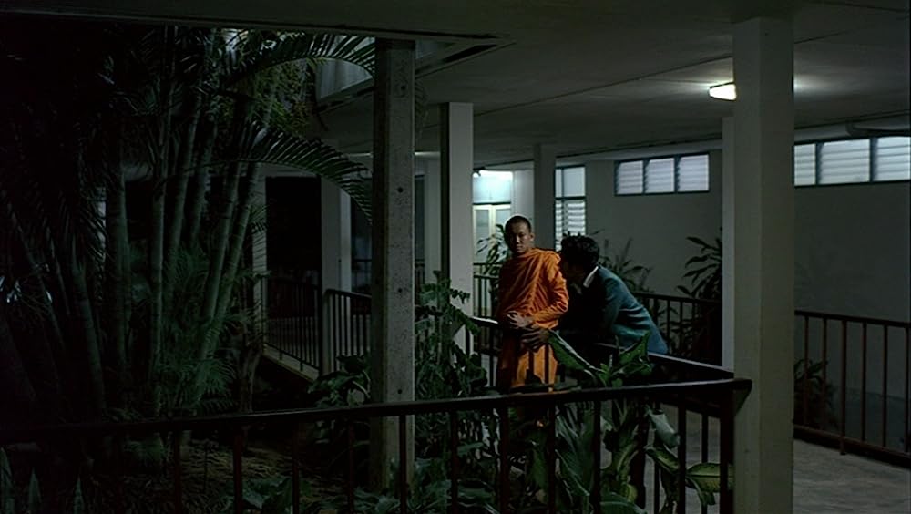 世紀の光の画像