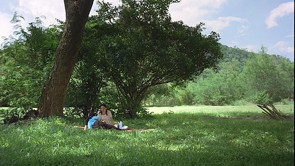 世紀の光の画像