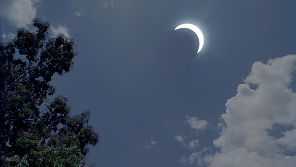 世紀の光の画像