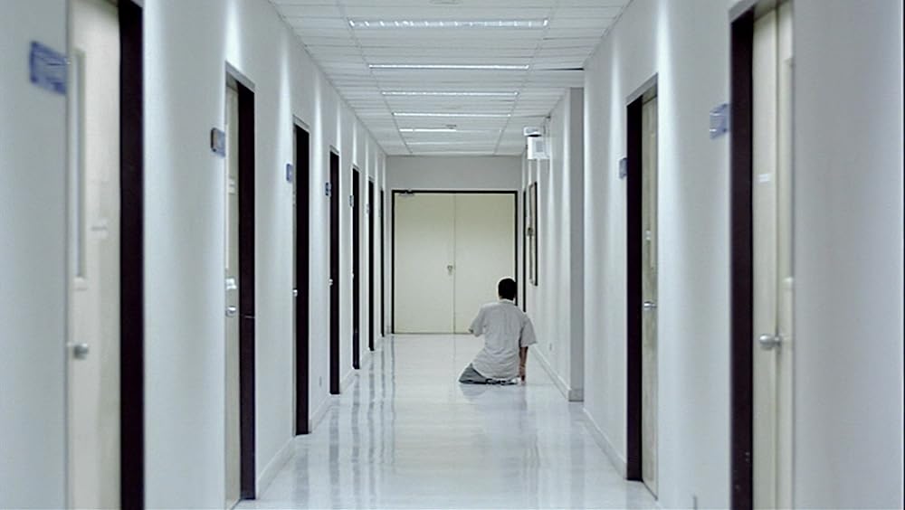 世紀の光の画像