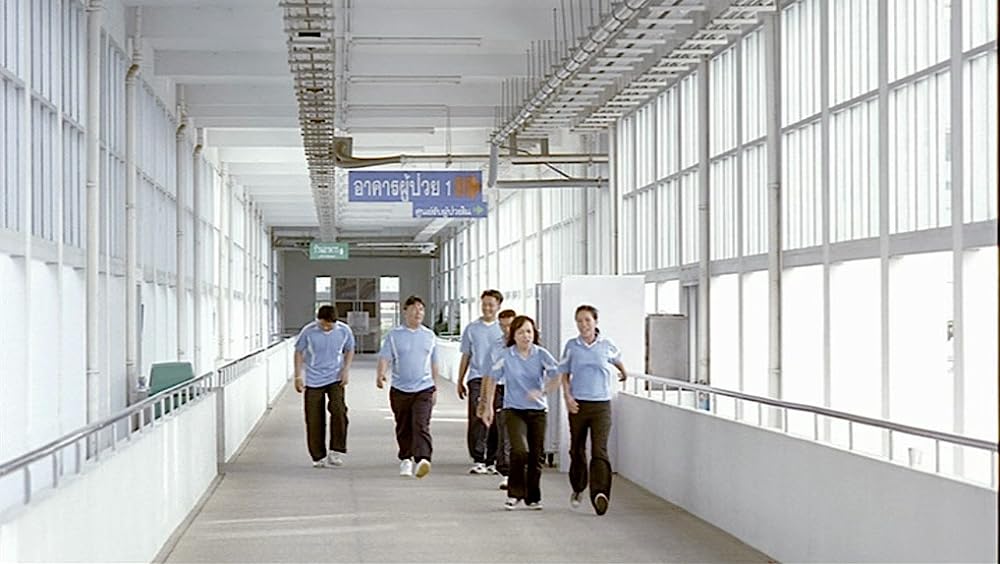 世紀の光の画像