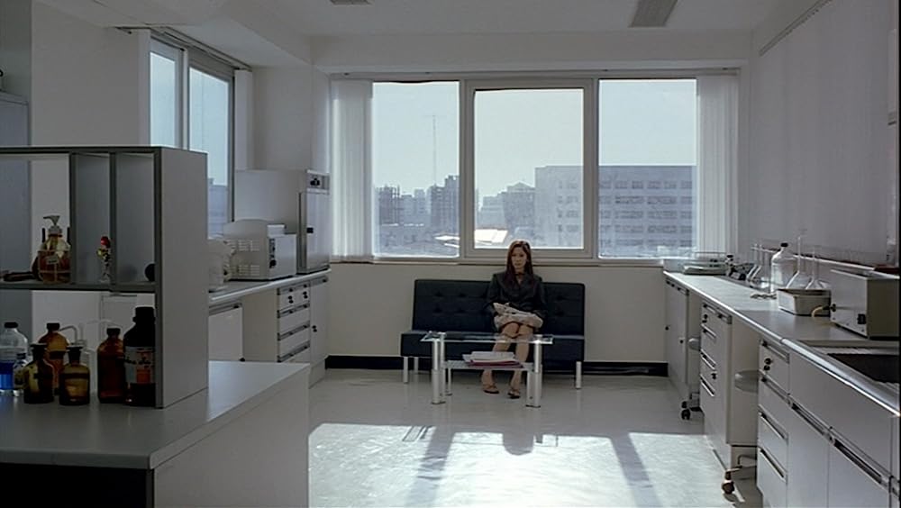 世紀の光の画像