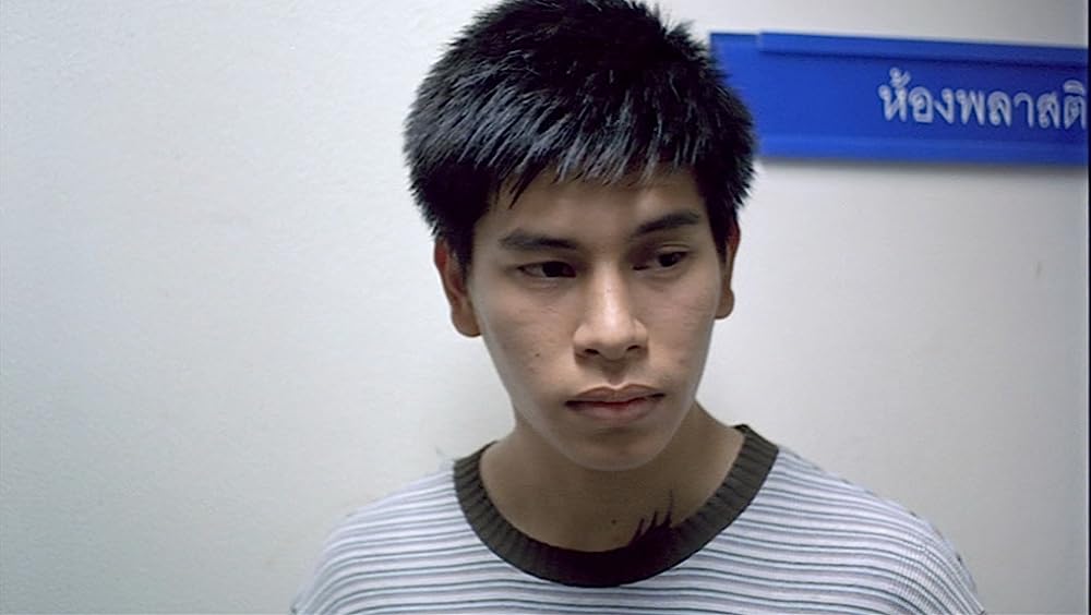 世紀の光の画像