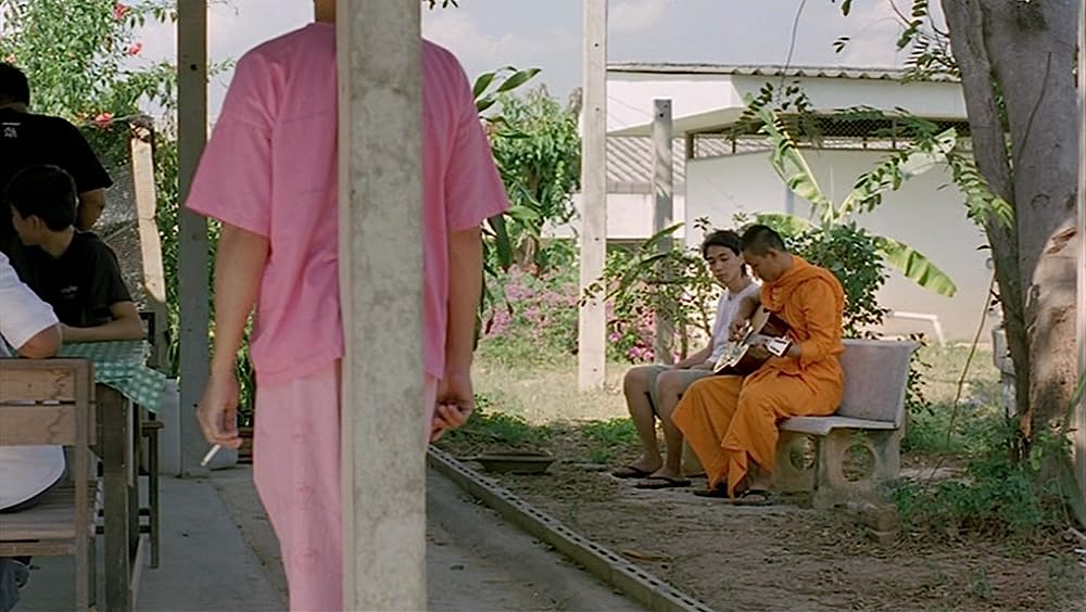 世紀の光の画像