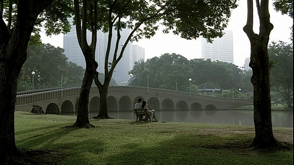 世紀の光の画像